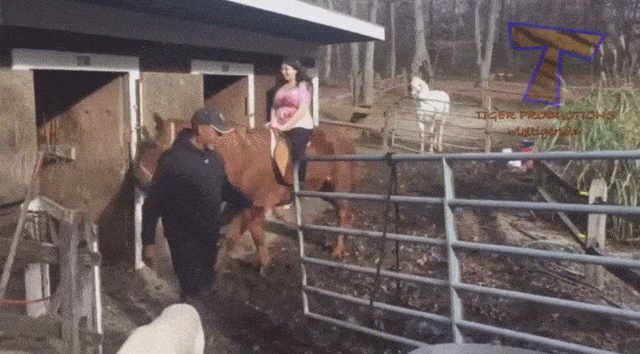 Гифки дня Гифки дня