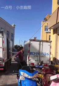 Гифки дня Гифки дня