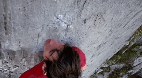 Гифки дня Гифки дня