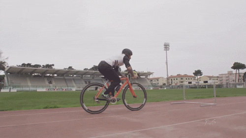 Гифки дня Гифки дня