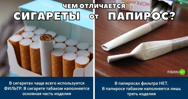 Чем отличаются сигареты от папирос?
