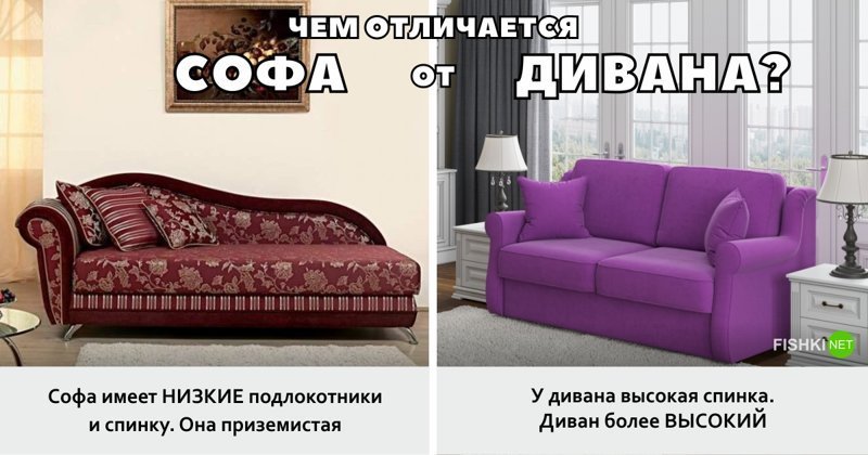 Чем отличается софа от дивана?