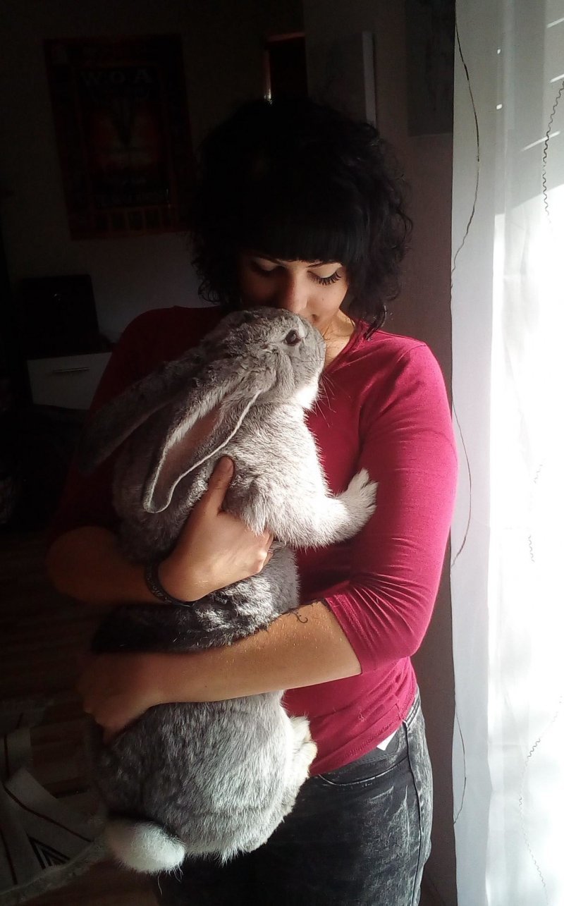 Девушка с кроликом