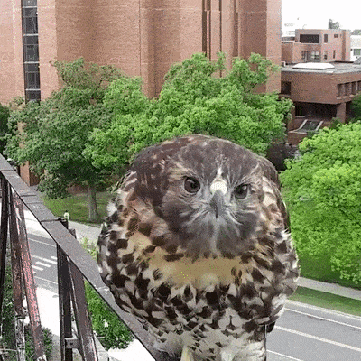 Кто разрешил съемку?