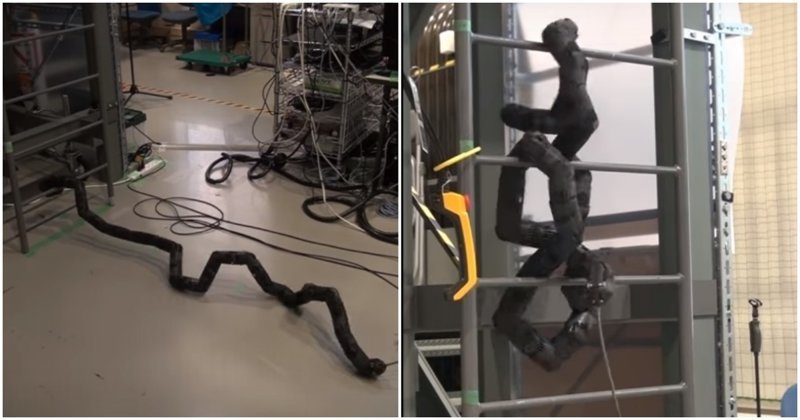 Японские инженеры создали робота-змею, который умеет подниматься по лестнице