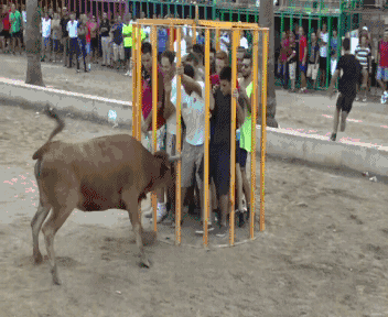 Гифки дня Гифки дня