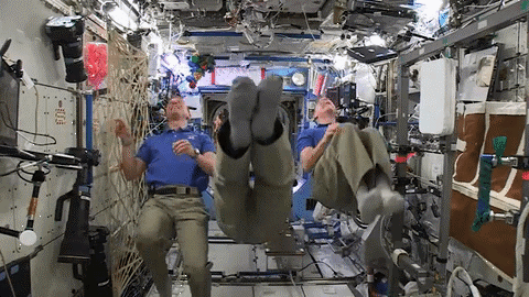 Гифки дня Гифки дня