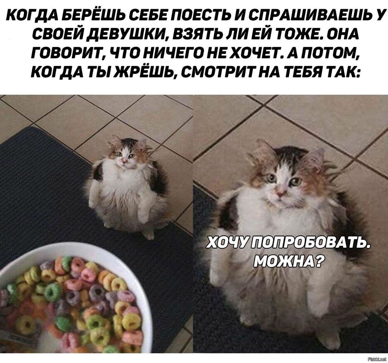 давай встретимся возьму нож. тоже забери. рекламные диалоги.