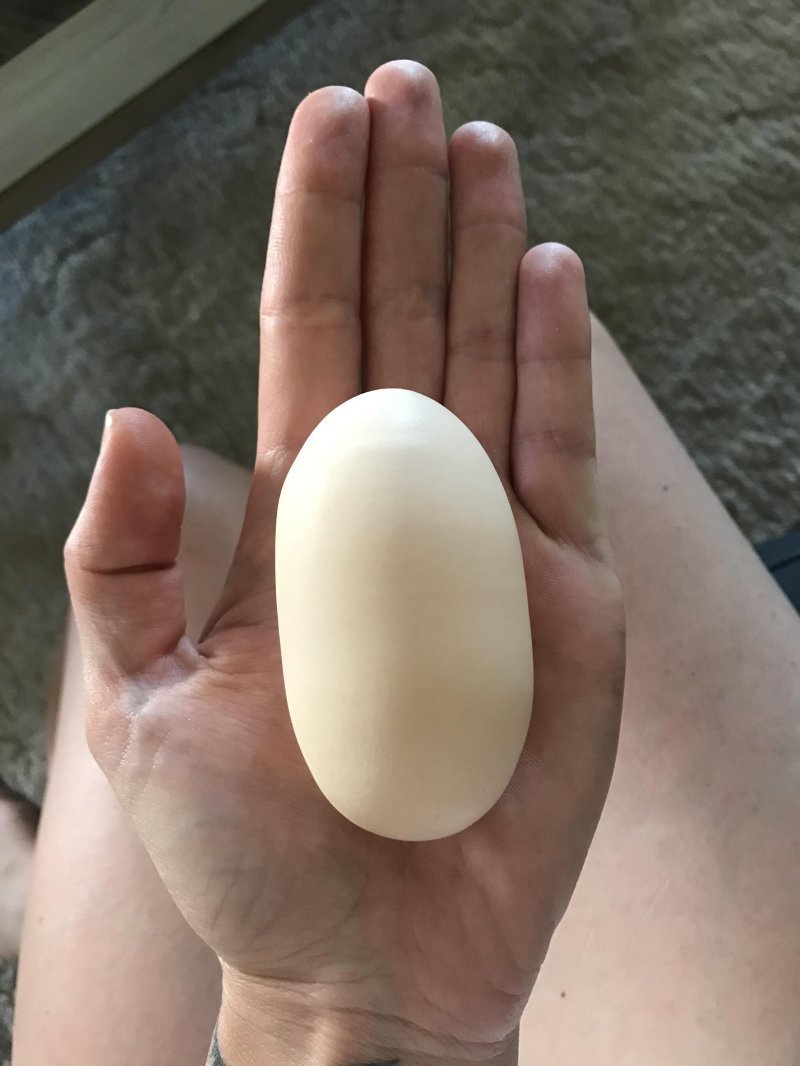 Курица снесла идеальные яйца для перфекционистов