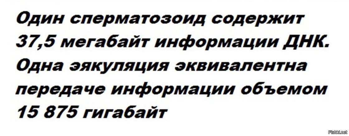 Бесполезная информация. Бесполезная информация. Бесполезные профессии. Бесполезная информация. Бесполезная информация рисунок.