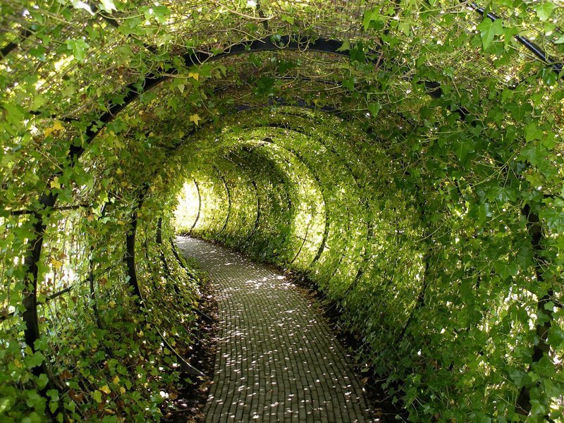 Зелёные тоннели