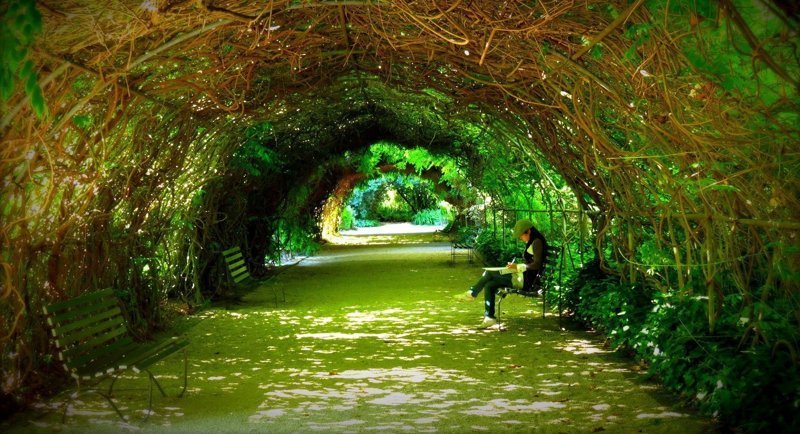 Зелёные тоннели