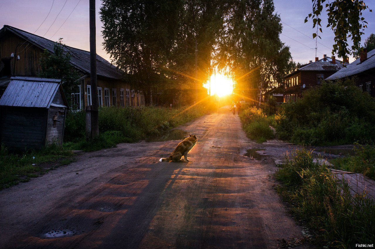 Вечером устаревшее. Вечер в деревне. Лето в деревне. Сельская дорога.