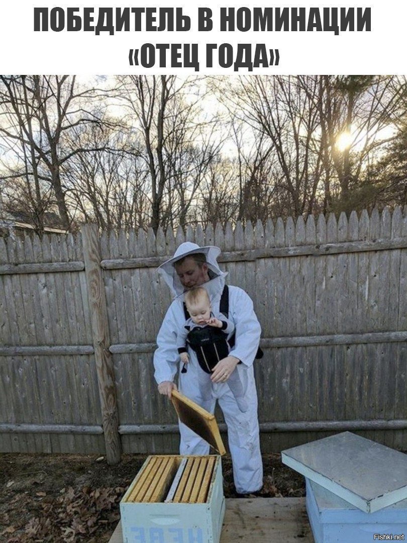 Я отец года потому что. Смешные высказывания про недвижимость. Если вы любите человека. Цитаты про отца. Стих мама я устала от взрослой жизни.