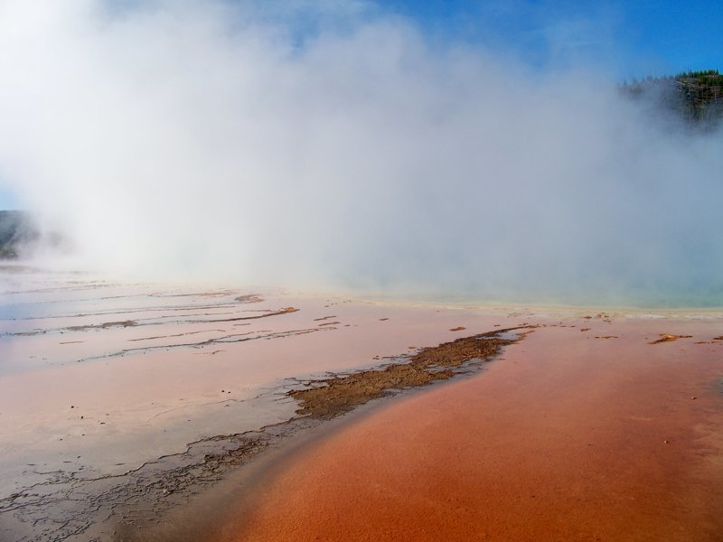 Яркие цвета обусловлены наличием особых бактерий, которые живут только в горячей воде