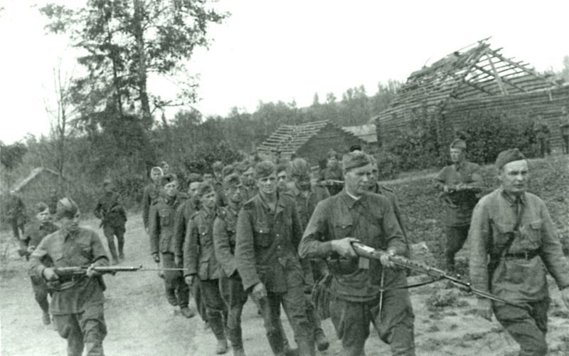 Колонна немецких пленных, захваченных 149-й стрелковой дивизией в боях за деревню Захарово в июле 1941 года. Западный фронт.