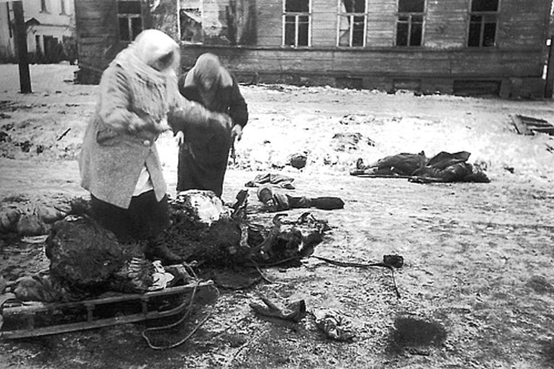 Две женщины собирают останки мертвой лошади для еды. Осада Ленинграда, 1941 
