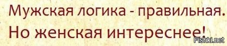 Мужская логика правильная но женская интереснее картинки