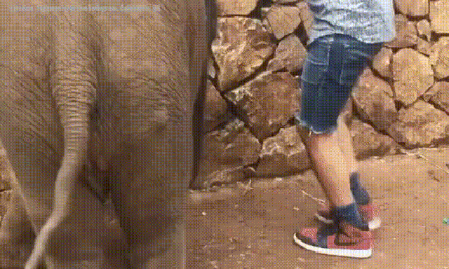 Гифки дня Гифки дня