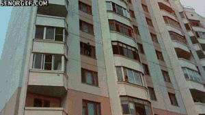 Гифки дня Гифки дня