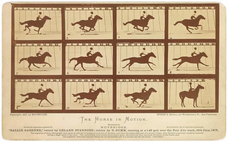 Лошадь в движении, Эдвард Мейбридж, 1878. 