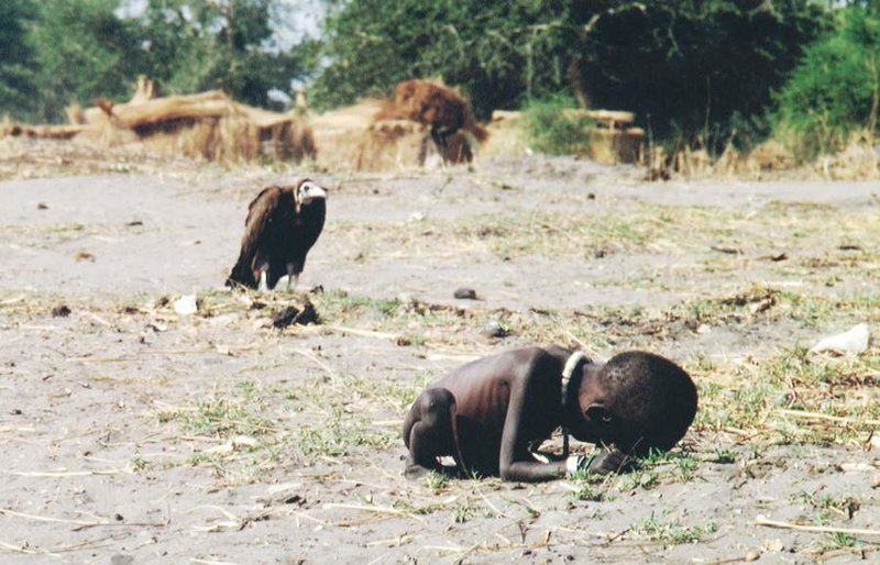 Голодающий ребёнок и стервятник, Кевин Картер, 1993. 
