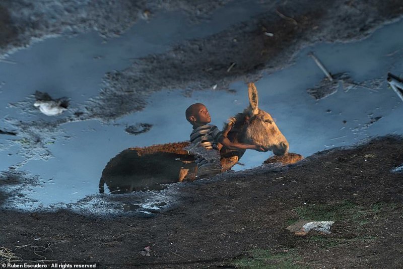 "Отражения в Лесото". Мальчик и ослик. Лесото, южная Африка. Фотограф: Рубен Эскудеро, Мексика