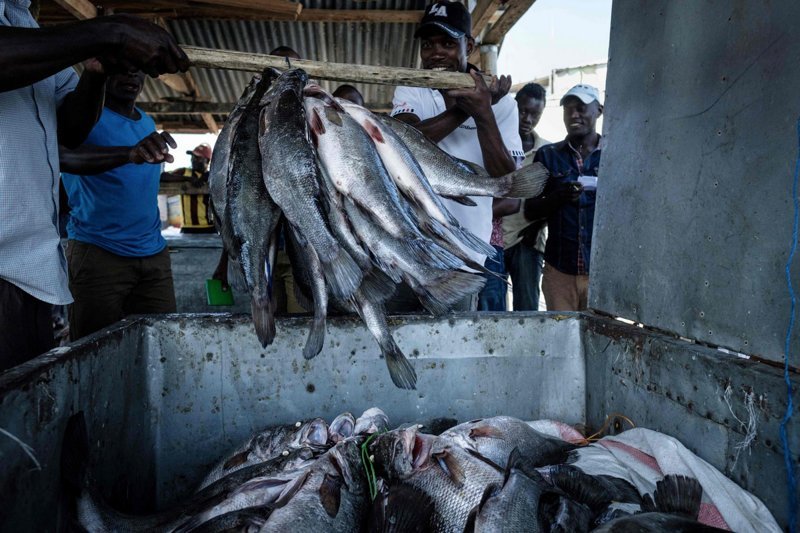 Рыбное место: как живут на крошечном острове Мигинго