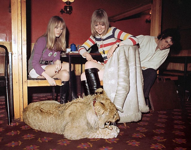 Лев Кристиан обедает с моделью Эммой Бриз и ее друзьями в ресторане Casserole на Кингс-Роуд. Львенок был куплен в универмаге Harrods в ноябре 1969 года