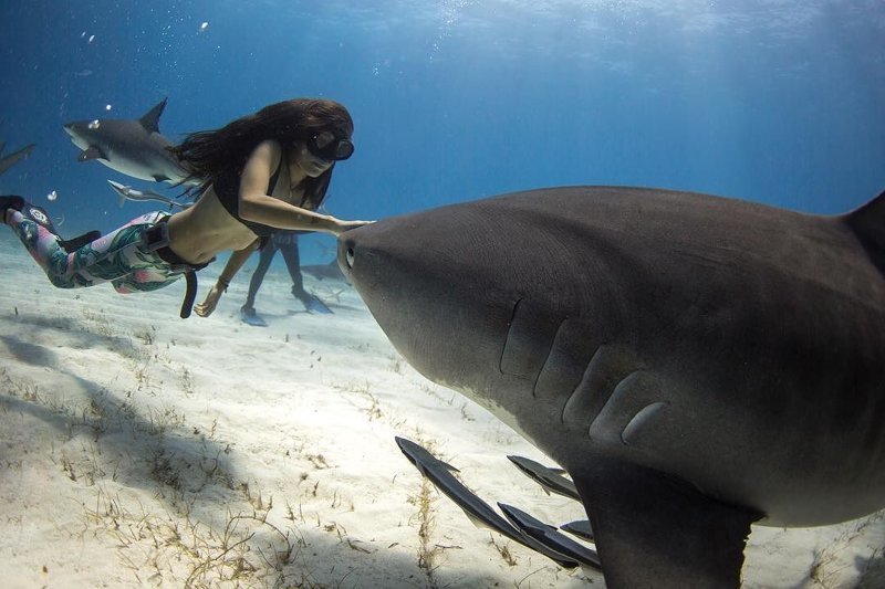 Фридайвер Соня - большая любительница акул