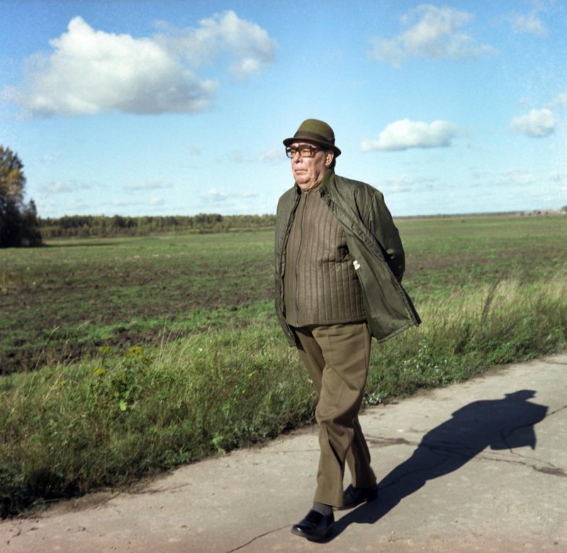 20 фактов о Леониде Ильиче Брежневе, Генеральном секретаре ЦК КПСС и человеке