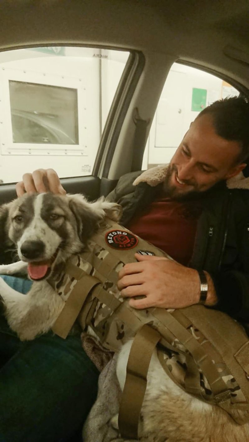 Солдат спас на войне щенка и нашёл в нём спасителя для себя