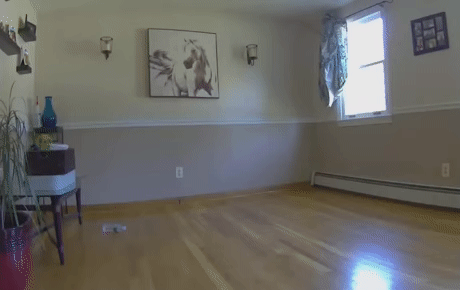 Здесь должен был быть диван