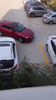 Азиатские дамочки паркуют автомобиль