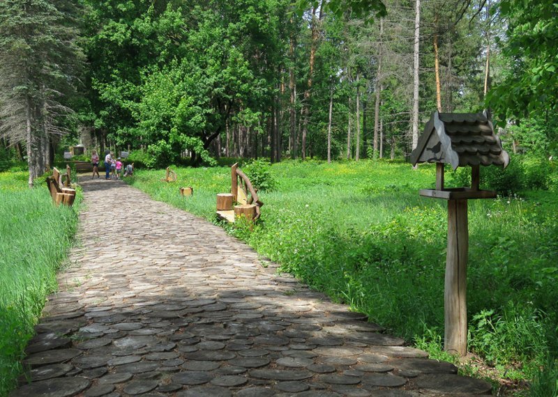 Воронежский заповедник. Оплот бобра