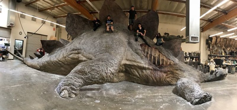 Работа над стегозавром окончена. 17 метров в длину!