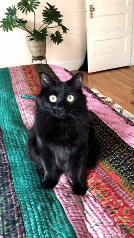 09c73156882909e6309880b0e3ff6391.gif