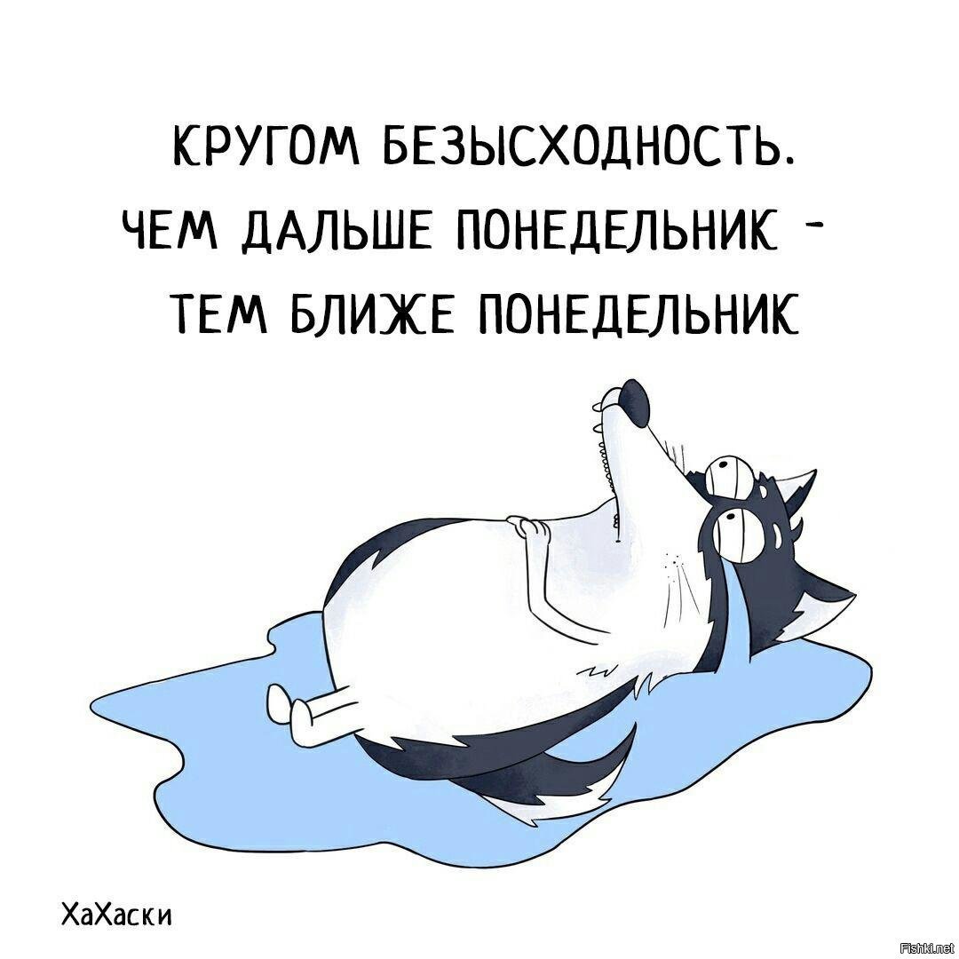 Ну и будь дальше. Хахаски. Хахаски понедельник. Хахаски воскресенье. Хахаски пятница.