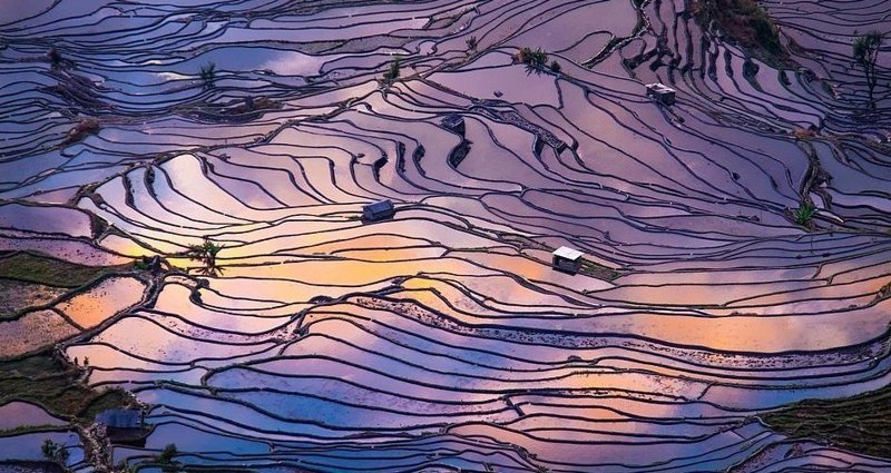 Залитые водой рисовые поля в округе Яньань