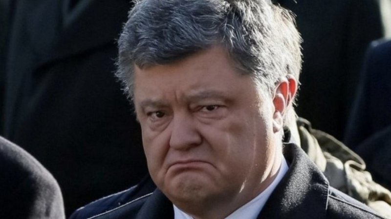 Дональд жжет, Петро плачет