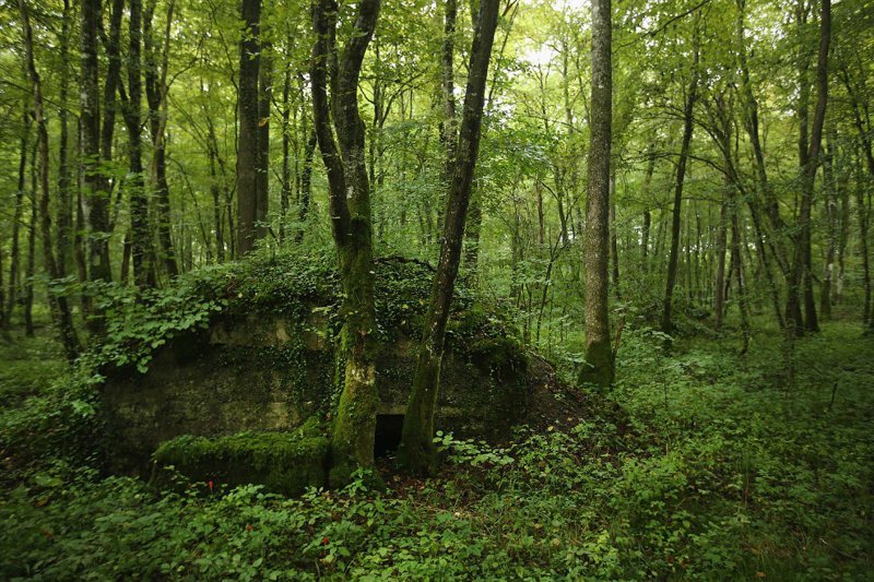  Бывший немецкий бункер времен Первой мировой войны в лесу около Вердена, Франция.