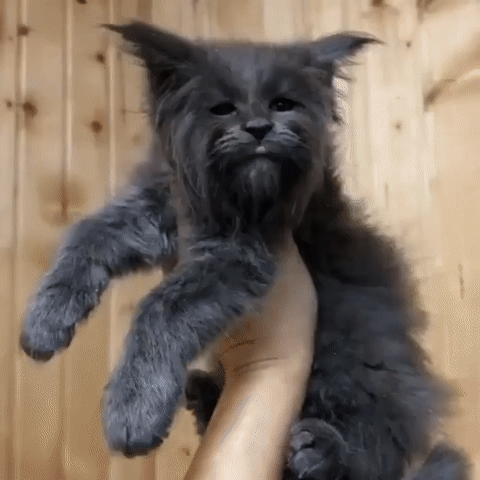 Сразу видно старичок