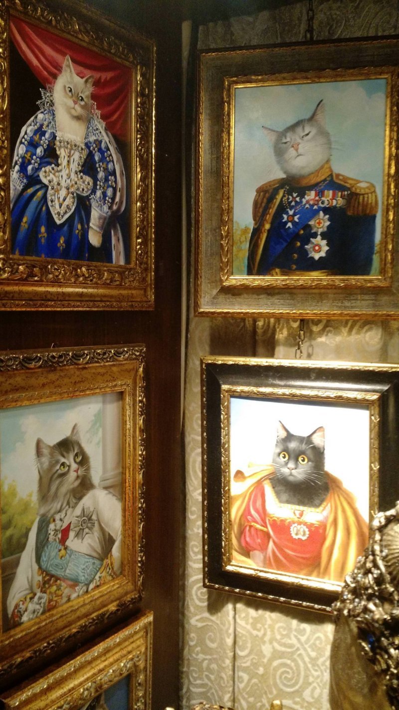 Галерея королевских котиков