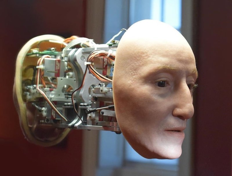 Художник создал роботизированную модель лица Елизаветы, которая выглядит пугающе реалистично