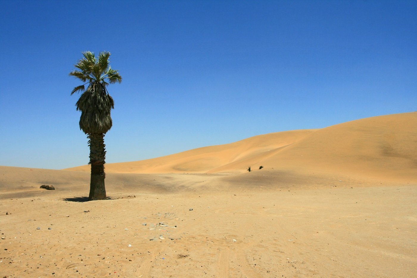 Дюны пустыни Калахари