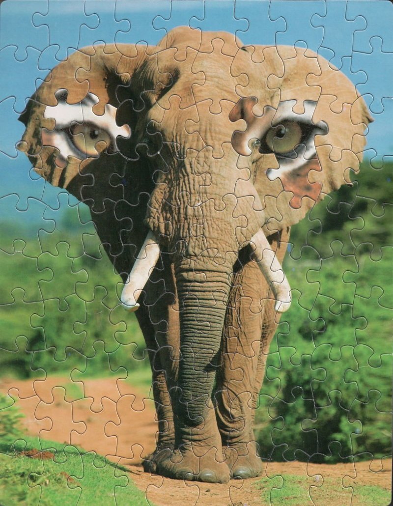 Всевидящий слон
