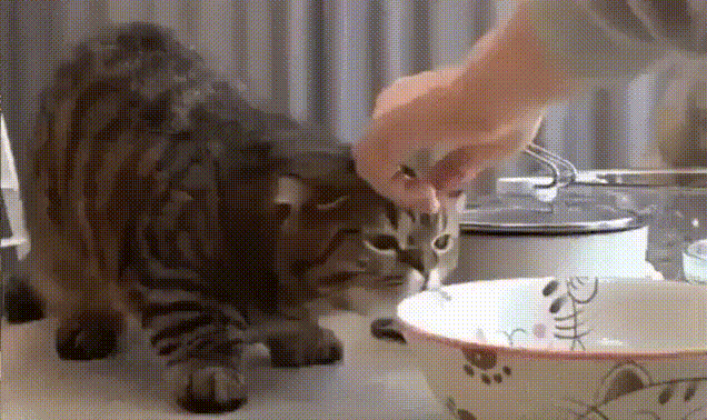 - Ну дай хоть посмотреть