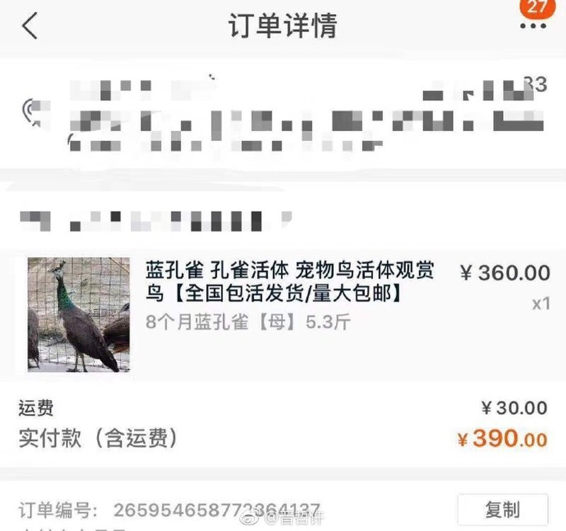 Пьяный китаец поддался эйфории и купил павлина, саламандру и свинью
