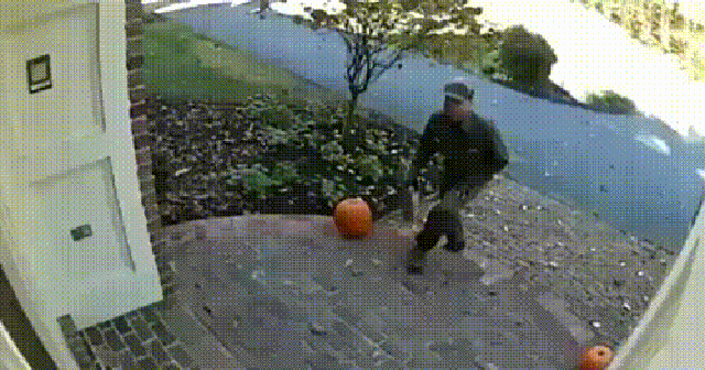 Ни дня без гифок