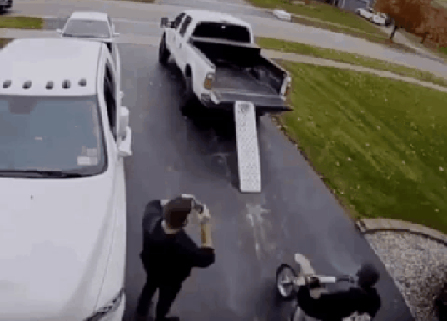 Ни дня без гифок